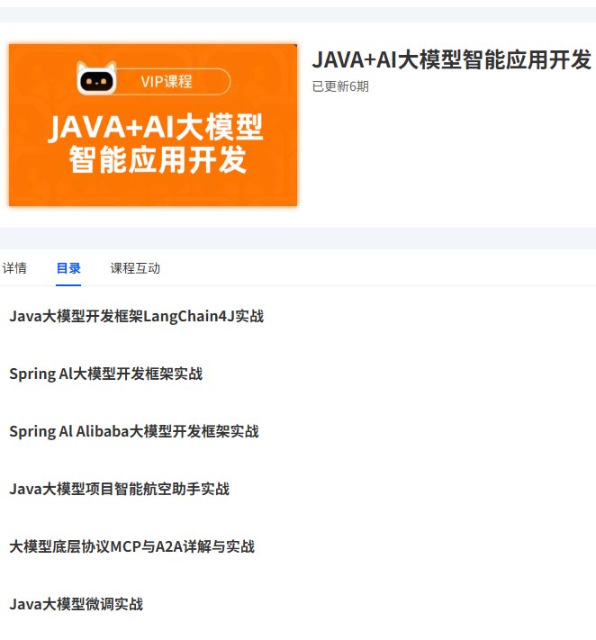 JAVA AI大模型智能应用开发.jpg